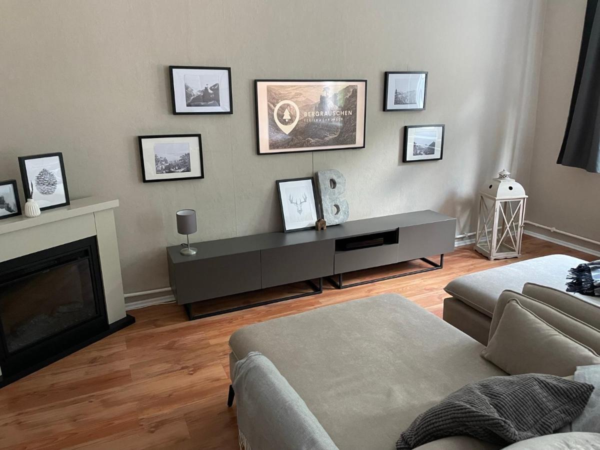 Bergrauschen - Waldloft - Preise Inklusive Waesche Apartman Goslar Kültér fotó