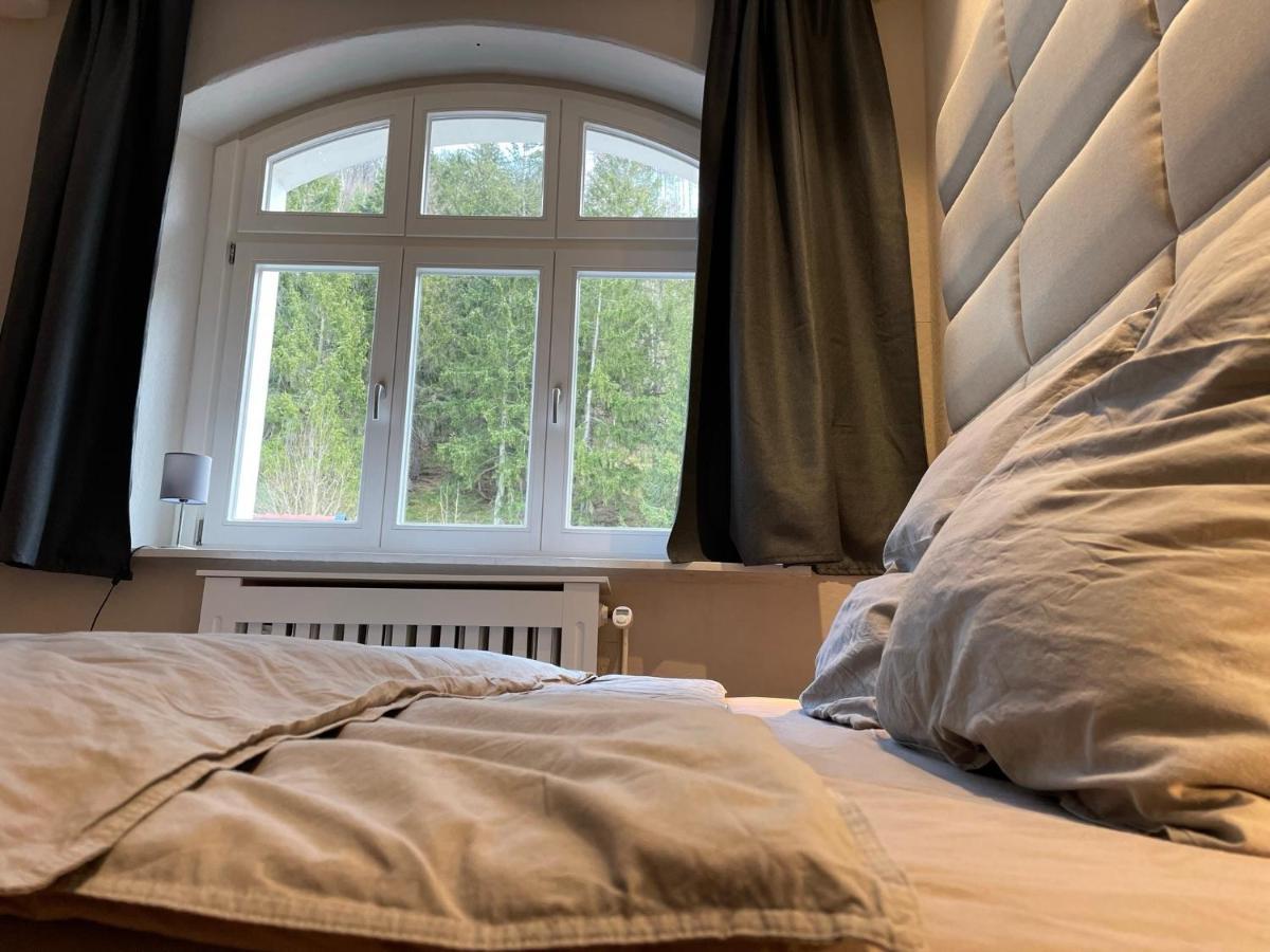 Bergrauschen - Waldloft - Preise Inklusive Waesche Apartman Goslar Kültér fotó