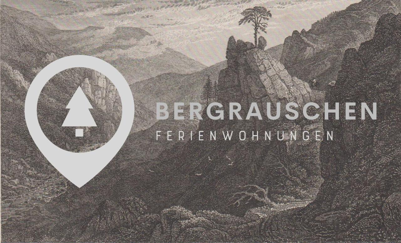 Bergrauschen - Waldloft - Preise Inklusive Waesche Apartman Goslar Kültér fotó