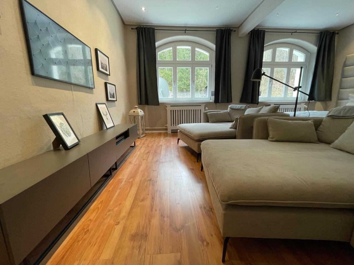 Bergrauschen - Waldloft - Preise Inklusive Waesche Apartman Goslar Kültér fotó