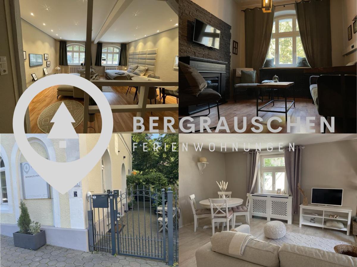 Bergrauschen - Waldloft - Preise Inklusive Waesche Apartman Goslar Kültér fotó
