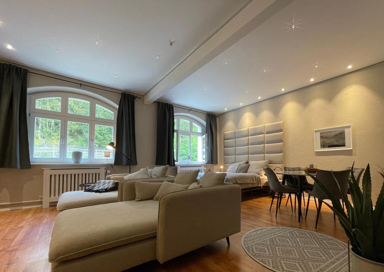 Bergrauschen - Waldloft - Preise Inklusive Waesche Apartman Goslar Kültér fotó